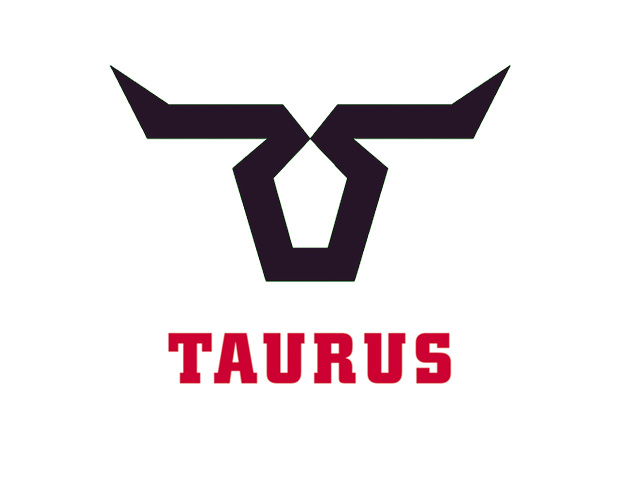 logodesign-taurus-3-620.jpg